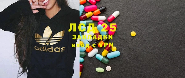 индика Алзамай
